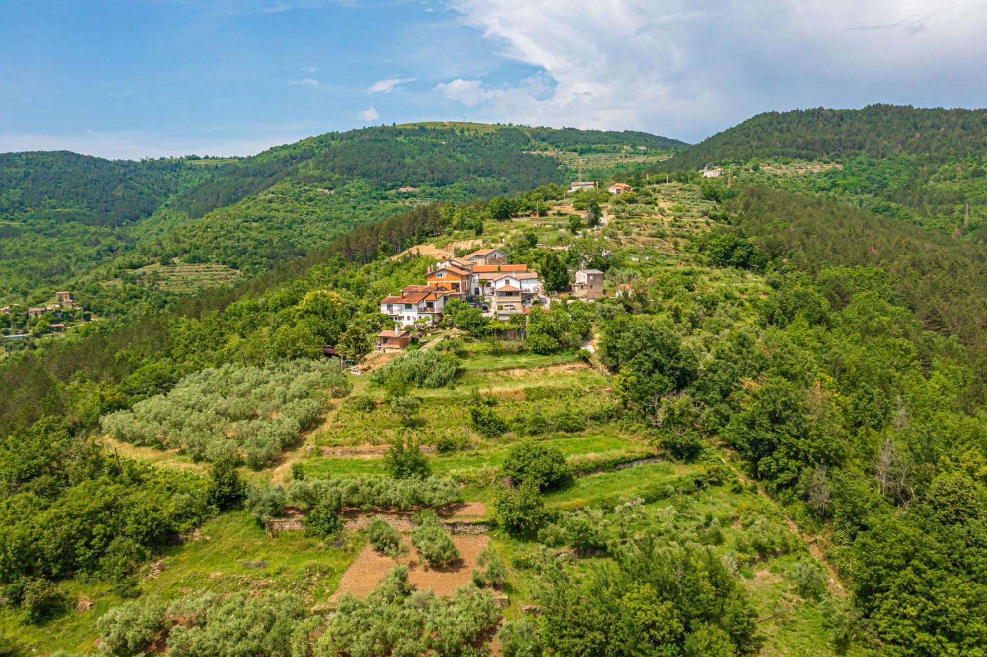 ליבאדה Holiday Home Belveder Motovun With Heated Pool מראה חיצוני תמונה